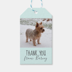 Etiqueta Para Presente Obrigado do cão você Tag da foto do presente