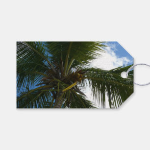 Etiqueta Para Presente Olhando para a natureza tropical da árvore de pal