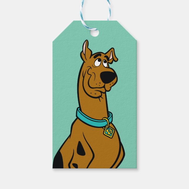 Etiqueta Para Presente Olhos De Puppy Scooby-Doo (Frente)