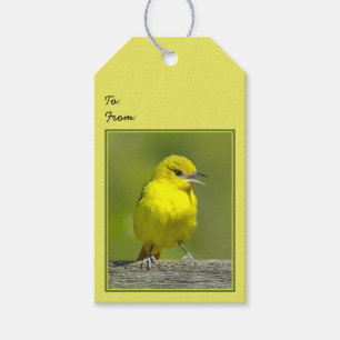Etiqueta Para Presente Orchard Oriole - Fotografia original