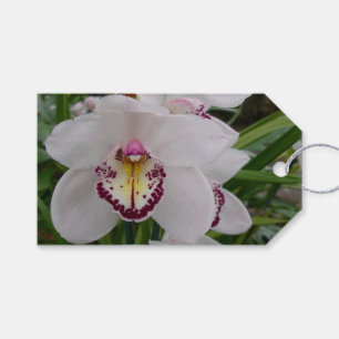 Etiqueta Para Presente Orquídea Branca II Elegante