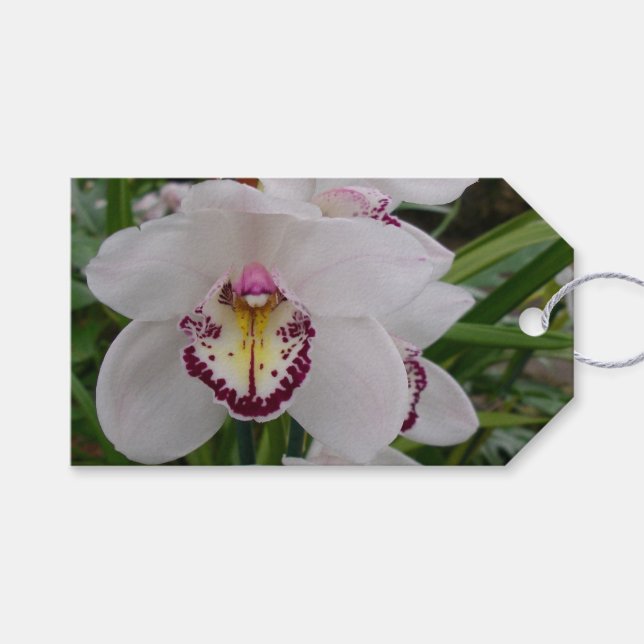 Etiqueta Para Presente Orquídea Branca II Elegante (Frente (horizontal))