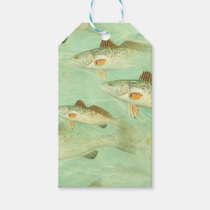 Etiqueta Para Presente Padrão De Peixe De Baixo 
