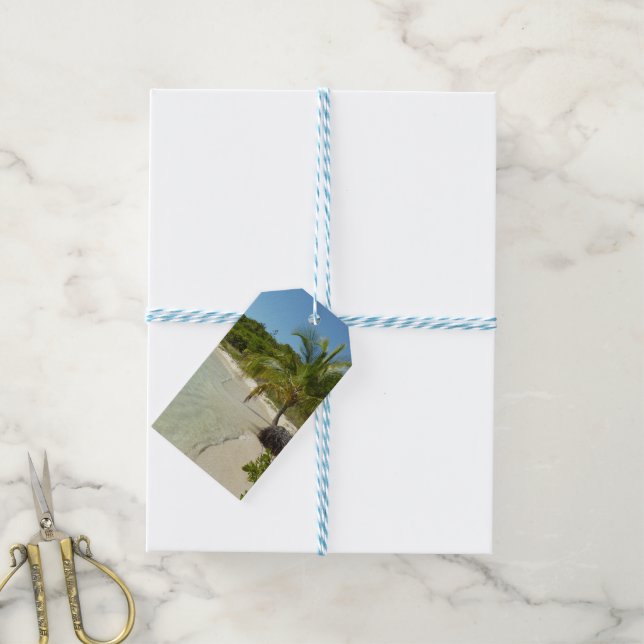 Etiqueta Para Presente Paisagem tropical bonita de antiguan Beach (Com cordão)