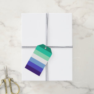 Etiqueta Para Presente Paleta da bandeira de homens gays trans-inclusivos