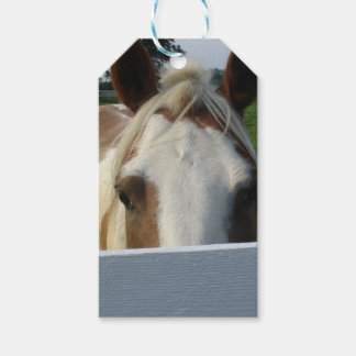Etiqueta Para Presente Palomino Cavalo Esconde-Esconde Atrás da Cerca