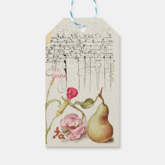 Etiqueta Para Presente Papagaios Laranja, Pear, Xadrez, Colheita De Colhe