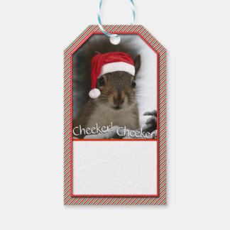 Etiqueta Para Presente Papais noeis Adoráveis Squirrel™ Vestindo Santa Ha