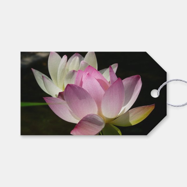 Etiqueta Para Presente Par de Flores de Lotus II (Frente (horizontal))