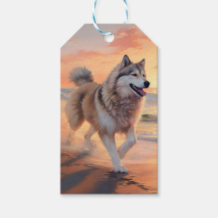 Etiqueta Para Presente Patas Sareentas do Malamute do Alasca na Praia ao