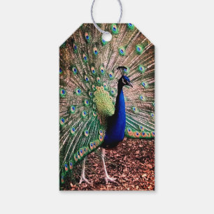 Etiqueta Para Presente Peacock