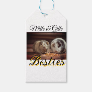 Etiqueta Para Presente Pet Frities adiciona nome e foto animal amor
