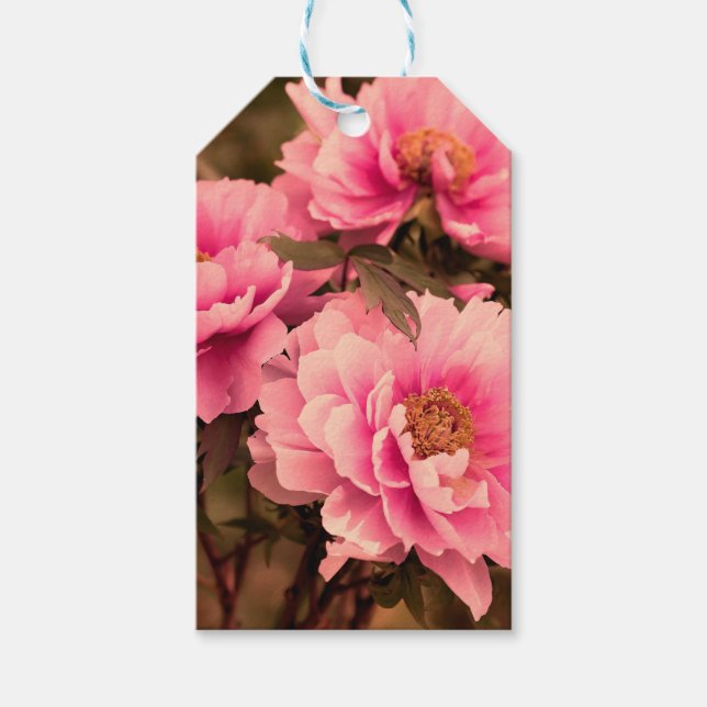Etiqueta Para Presente Pink  Peony Flower (Frente)