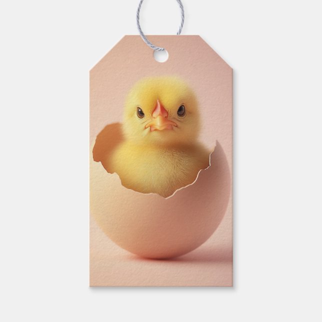 Etiqueta Para Presente Pintinho feroz em Eggshell (Frente)