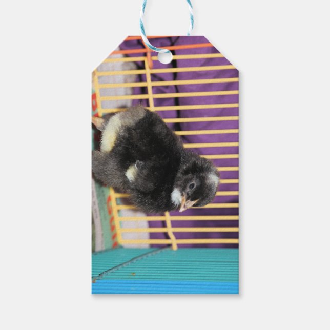 Etiqueta Para Presente Pista (Frente)