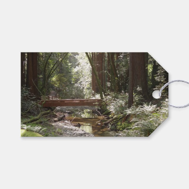 Etiqueta Para Presente Ponte Muir Woods II (Frente (horizontal))