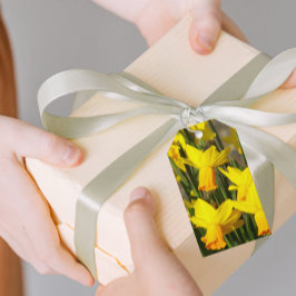 Etiqueta Para Presente Primavera Amarelo Daffodils Floral