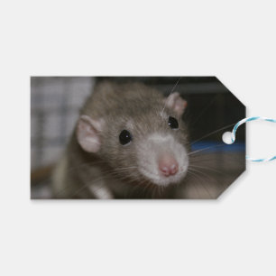 Etiqueta Para Presente Rato curioso
