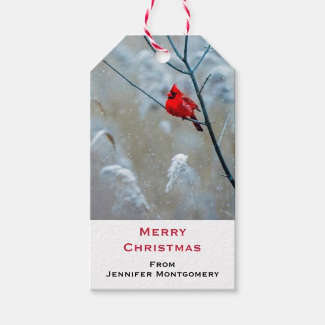 Etiqueta Para Presente Red Cardinal no inverno Foto do Natal (Frente)