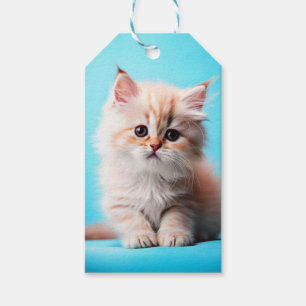 Etiqueta Para Presente Retrato de Adorável Gatinho Branco-52106