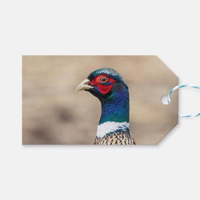 Etiqueta Para Presente Retrato de faisão (Frente (horizontal))