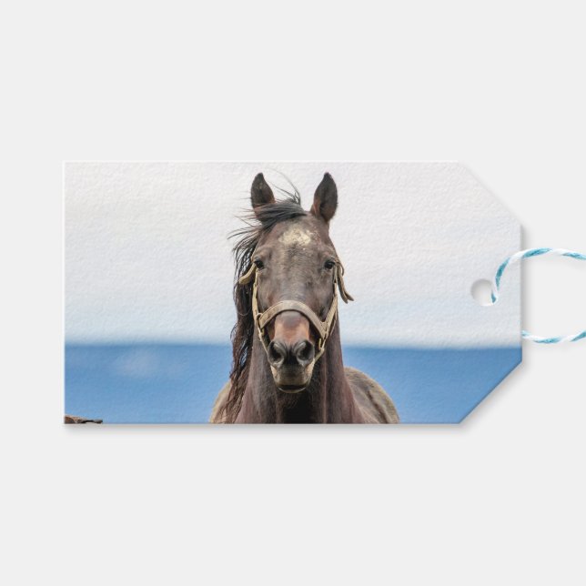 Etiqueta Para Presente Retrato de um cavalo (Frente (horizontal))