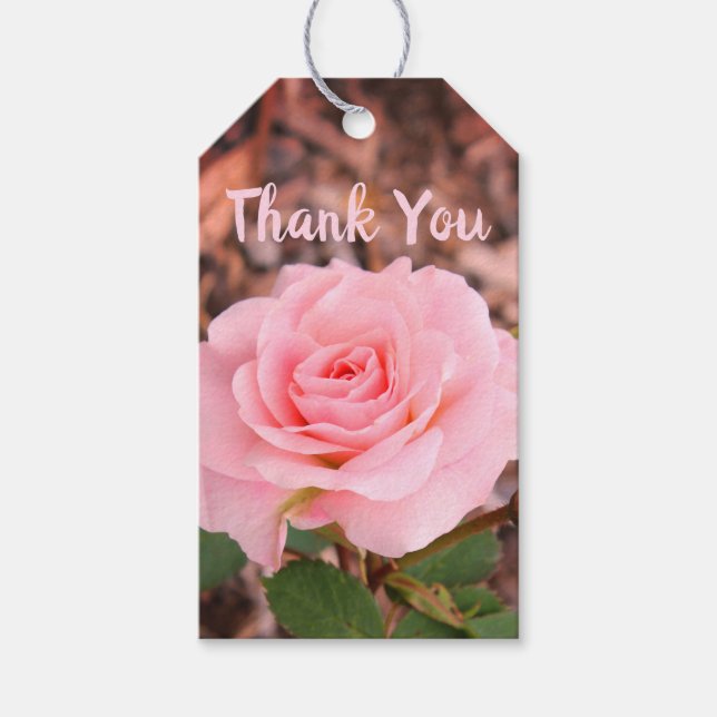 Etiqueta Para Presente Rosa Rosa Rosa Rosa Rosa Flor (Frente)