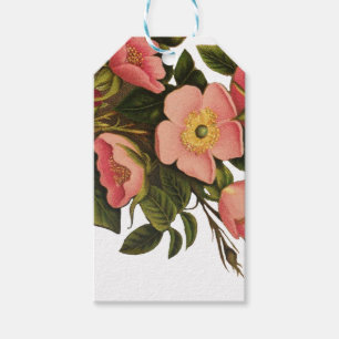 Etiqueta Para Presente Rosas Vintage Lindas Botânica Rosa