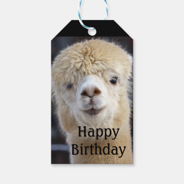 Etiqueta Para Presente Rosto de alpaca fofo (Frente)