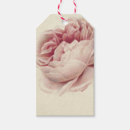 Etiqueta Para Presente Roze Roos (1792) – Arte Botânica Vintage Atemporal