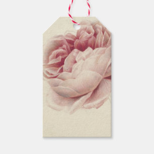 Etiqueta Para Presente Roze Roos (1792) – Arte Botânica Vintage Atemporal
