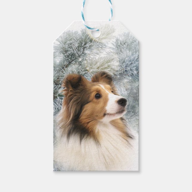 Etiqueta Para Presente Sable Sheltie Natal (Frente)