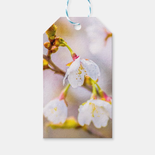 Etiqueta Para Presente Sakura - Flor de Cereja Japonês (Frente)