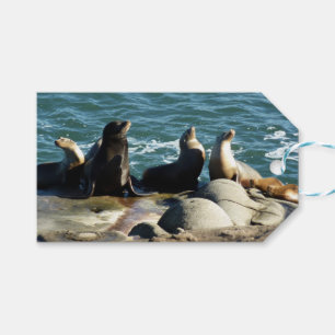 Etiqueta Para Presente San Diego Sea Lions