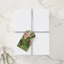 Etiqueta Para Presente Sapatinho de Dama Floral Vintage Orquídea Botânica