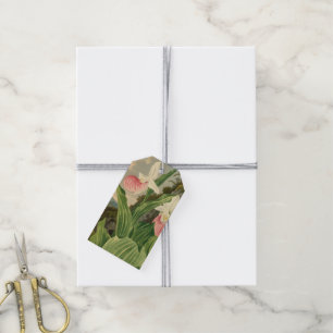 Etiqueta Para Presente Sapatinho de Dama Floral Vintage Orquídea Botânica