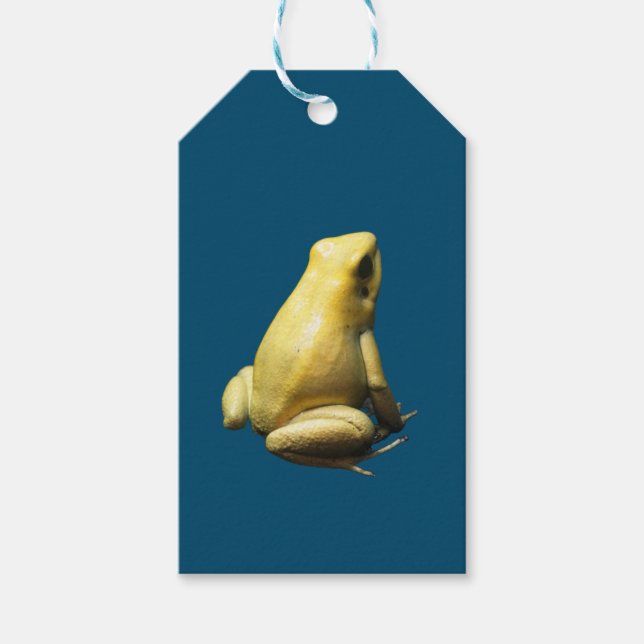 Etiqueta Para Presente Sapo ouro Veneno (Frente)