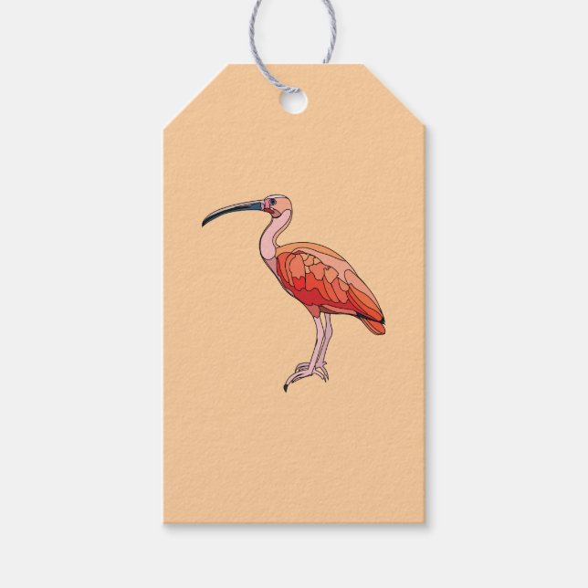 Etiqueta Para Presente Scarlet Ibis Bird Happy Birday (Frente)