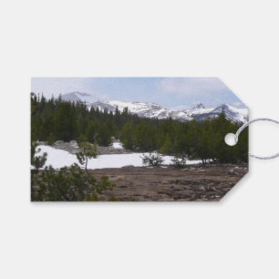 Etiqueta Para Presente Serra Nevada e neve em Yosemite