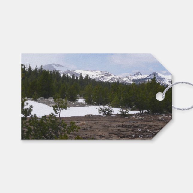 Etiqueta Para Presente Serra Nevada e neve em Yosemite (Frente (horizontal))