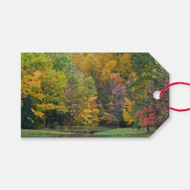 Etiqueta Para Presente Sete Primaveras Call Bridge II Autumn Landscape (Frente (horizontal))