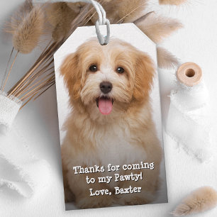 Etiqueta Para Presente Seu Cachorro é Pawty de Aniversário Obrigado pel