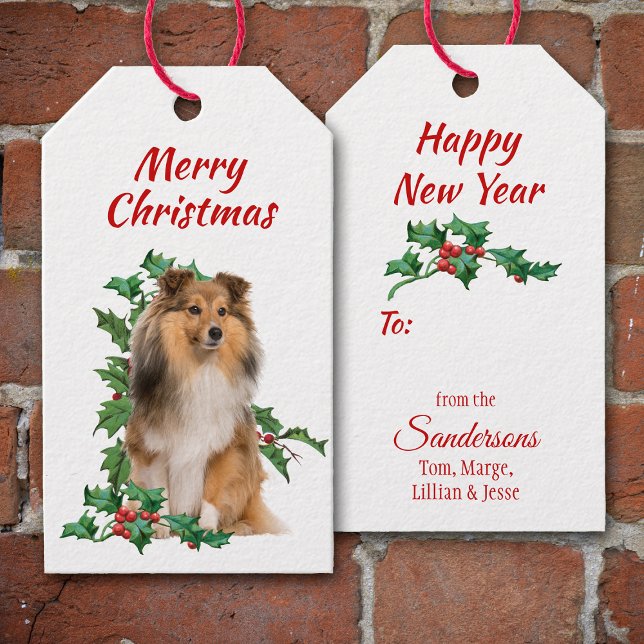 Etiqueta Para Presente Shetland Sheepdog Red Berry Holly Christmas (Criador carregado)