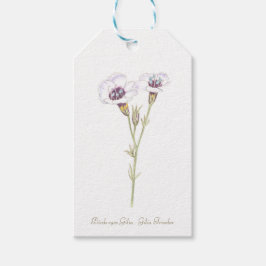 Etiqueta Para Presente Sinal de caixa em madeira Gilia Watercolor