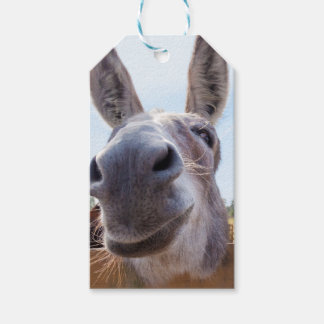 Etiqueta Para Presente Smiling Donkey Gift Tag