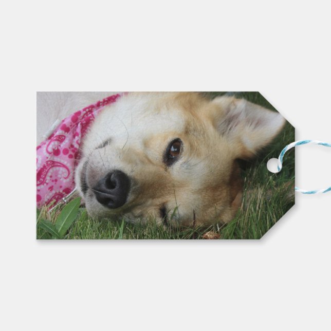 Etiqueta Para Presente Smoochie (Frente (horizontal))