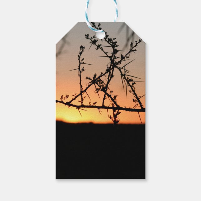 Etiqueta Para Presente Sol africano com silhueta espinhal de acácia (Frente)