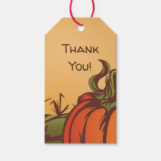 Etiqueta Para Presente Solitário de abóbora no campo. As folhas do outono