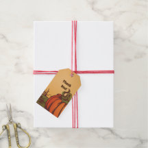 Solitário de abóbora no campo. As folhas do outono