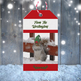 Etiqueta Para Presente Squirrel in Green Hat Snowy Red and White